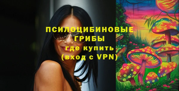 молекула духа Алексин