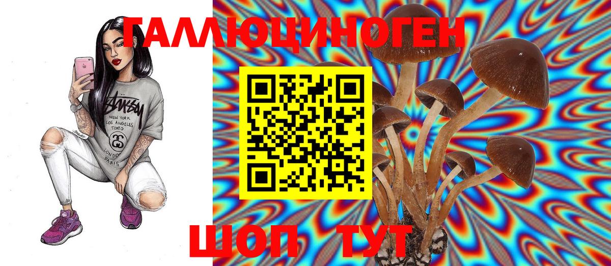 Галлюциногенные грибы Psilocybe  Вход с VPN  Асино 