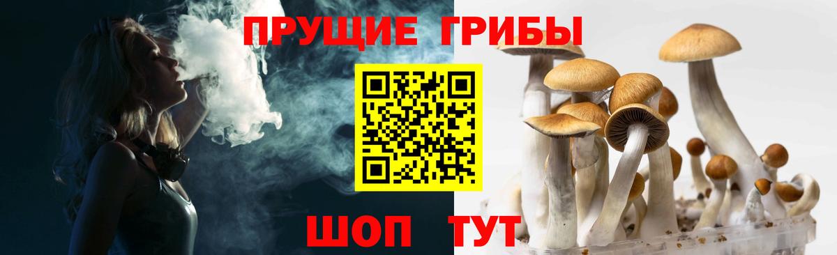 Галлюциногенные грибы мицелий Асино